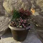 Casa Closellinaz Руазан
