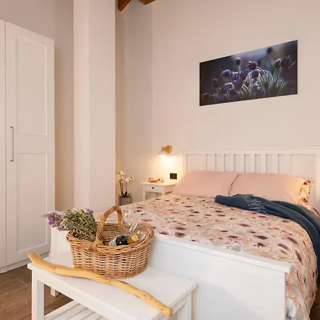 아파트 Casa Closellinaz