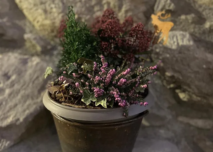 Casa Closellinaz Roisan